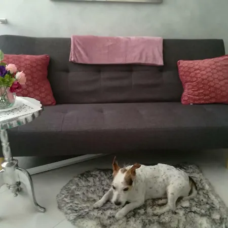 Apartment Ines *